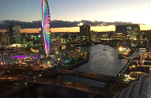 横浜市で育ちました